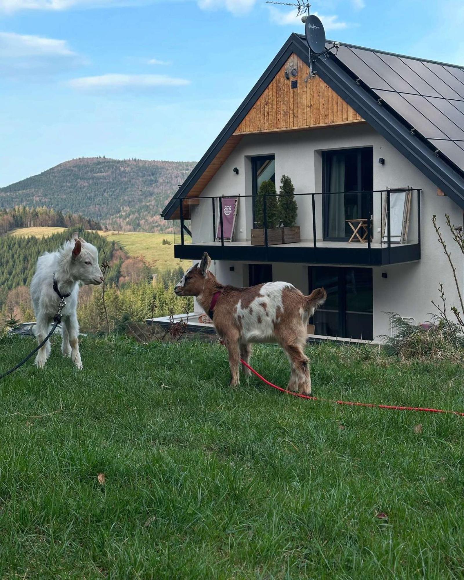 Gorczanskie Zacisze Lubomierz  Exteriér fotografie
